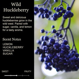 Funny Candles for Women Adult Humor | Retirement Candle Gift | Funny Gifts for Woman Men | Best Friend Birthday Candle Gift | Classy Sassy Boss Aunt Mom | Wild Huckleberry Scented, 100% Soy, USA Made