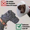 Nature Pet Gift Neoprene Protective Safety Net/Mesh Muzzle for Dogs