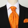 HISDERN Ascot Ties for Men Orange Paisley Cravat Tie and