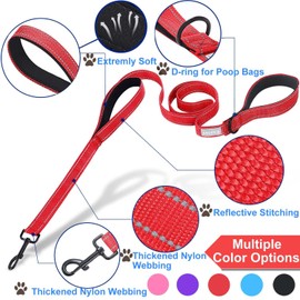 Dog Lead - With Two Padded Handles, Two Dog Leads Modes,Double-Sided Reflective Nylon Dog Leash for Training&Walking Perfect for Medium Dogs