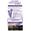 L'Oreal Paris Excellence Cool Supreme Permanent Hair Color, Ash, 100