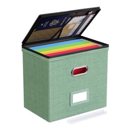 Oterri 1 Pack File Organizer Boxes with Lids, File Box with Mesh Pockets, Document Organizer Box for File Folders Letter Size, Zippers Filing Box for Home, Office, School (Green, Without Folders)