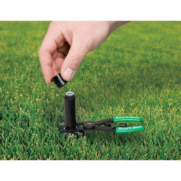 Rain Bird PTC1 Spray Head Pull-Up Tool for Pop-Up Sprinklers