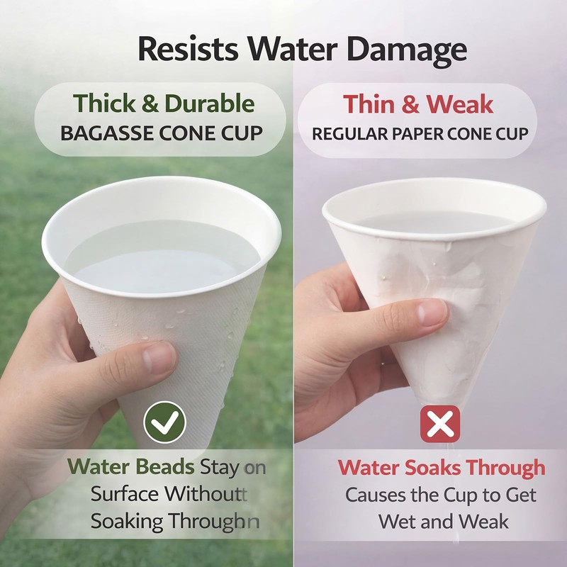 Roshtia 100% Biodegradable Ice Cream Cone Cups 6oz Compostable Sugarcane