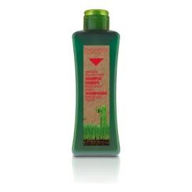 Shampoo Anticaída Salerm Biokera con Ginseng y Ginkgo Biloba, 1 L