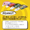 Daiwa Peanuts DR Crokin, 2.0 inches (50 mm)