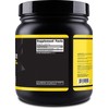 Primaforce Micronized Creatine Monohydrate Powder 500 Grams (1.1 Pounds)