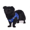 Dog Harness Set with Lead, Dog & Cat, Small Soft