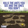 TERRO T1806SR 2-Pack Outdoor Liquid Ant Baits-12 Traps