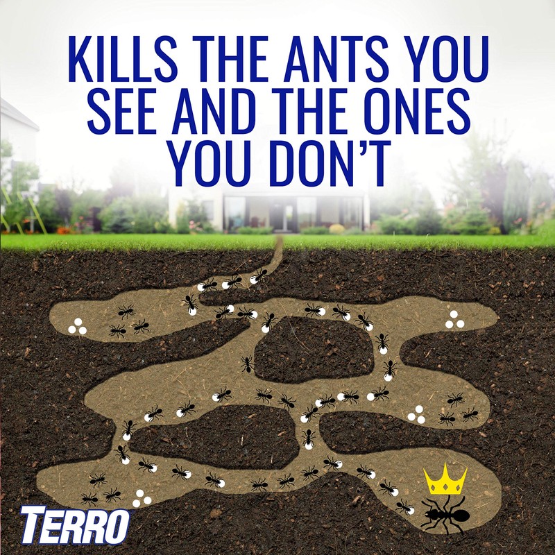 TERRO T1806SR 2-Pack Outdoor Liquid Ant Baits-12 Traps