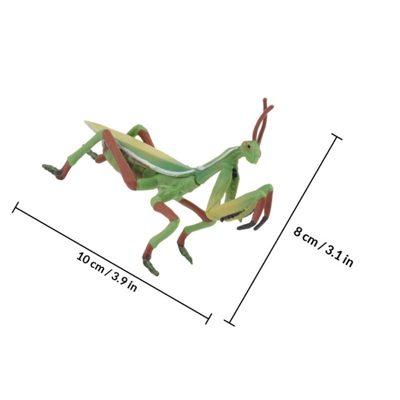 GOOHOCHY Mantis Figurine Plastic Mantis Model Realistic Model Kids Toy