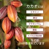 Lipsa T-675-3 Cacao Bean Polyphenol, Approximately 1 Month Supply x