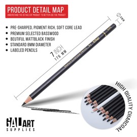 Galart Supplies Charcoal Drawing Set with Organizer Tray – 12 Pieces Soft, Medium, Hard and White Charcoal Pencils for Drawing, Shading and Sketching for Artists and Beginners