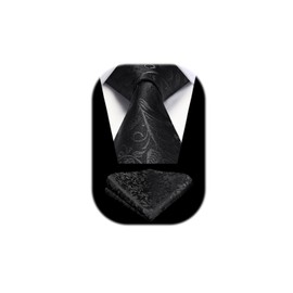 HISDERN Men's Paisley Black Tie Wedding Party Necktie And Pocket square Tie set Formal Business