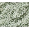 ESPA | Fitness Bath Salts | Reinvigorates Post-Exercise | Menopause-Friendly