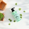 Cool Mint Cool Shampoo Oily Scalp Dandruff Youth Cool Cooling