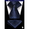 Hisdern TP-01S Men’s Paisley Pattern Necktie and Square Set, Business,