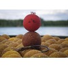Tandem Baits Carp Feed Fishing Food Pop Ups Boilies Zig