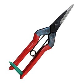 Konsho Chikamasa Large Fruit Picking Shears 7.7 inches (195 mm) T-601K