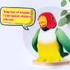 WEofferwhatYOUwant Talking Plush Parrot - Interactive Voice Activated. Your Stuffed