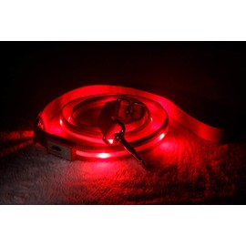 Blazin' Safety LED Dog Leash - USB Rechargeable Flashing Light, 6 Ft, Water Resistant – Avoid Danger – Red