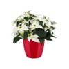 elho Brussels Diamond Round 18 - Flower Pot Indoor -