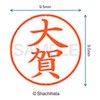シャチハタ 印鑑 ハンコ ネーム9 XL-9 印面9.5ミリ 大賀
