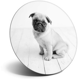 Destination Vinyl ltd Magnet for Refrigerator, Fridge BW - Pug Puppy Cute Baby Animal Dog for Office, Cabinet and Whiteboard, Magnetic Stickers, 43409