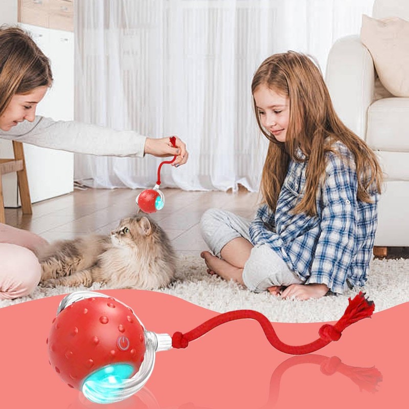 Indoor Cat Interactive Ball | Chirping Lighted Self-Moving Cat Ball