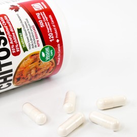 Nutridom Chitosan 500 mg, 95% Acetylated Chitin, North-American Source, Non-GMO, Gluten Free, Dairy Free, and Soy Free, 120 Veggie Capsules