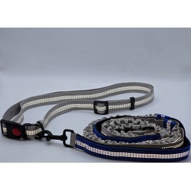Hands Free Dog Leash with Adjustable Waist Belt, Dual Padded Handles, Elastic Bungee Ropes for Small to Large Dogs, Reflective Stitches for Walking, Hiking, Running and Biking. (Gray and Blue, Large)