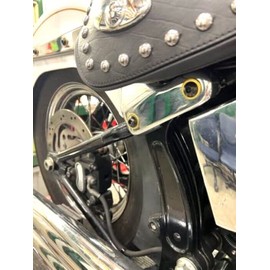 HARLEY BLACK n BRASS Softail 2018 up Rear Fender Stainless Strut Bolts FXBBS hd 905