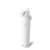Bottle Buddy | Dual Function lid Water Bottle | Stainless