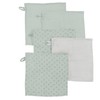 roba Organic Set of 5 Wash Cloths 'Lil Planet' Frosty