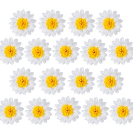 Daisy Flower Party Decorations White Tissue Pom Poms for Classroom Baby Shower Wedding Birthday Party Backdrop Home Decoration, 10 Inch, Pack of 18