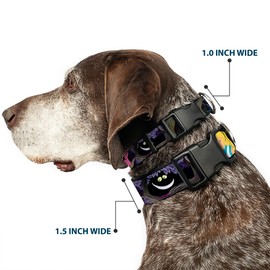 Buckle Down Alice & The Cheshire - Collar con Clip de plástico para gatos, Multicolor, 1/2" Wide - Fits 6-9" Neck - Small
