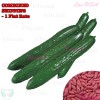 Treevale Long Summer Burpless Cucumber SEEDS - Hybrid | Vegetable Seeds - 10 Seeds No Tracking