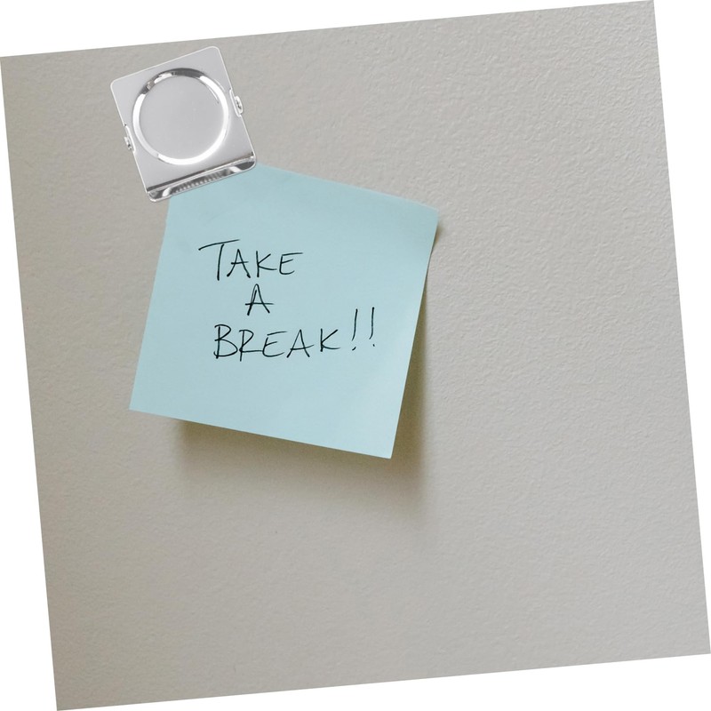 COHEALI 6pcs Magnetic Fridge Planner Clips Whiteboard Magnetic Clips Strong