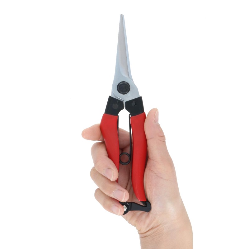 Takagi Sunflower Factory x Takagi Bud Pruning Shears 8 in