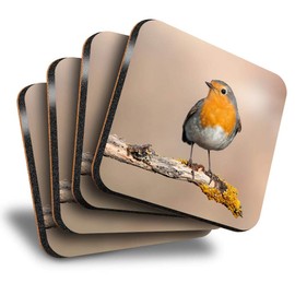 Destination Vinyl ltd Great Coasters (Set of 4) Square - Red Robin Bird Garden Cute Drink Glossy Coasters/Tabletop Protection for Any Table Type #2062