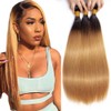 Ombre 1B27 Straight Bundles Black To Honey Blonde Human Hair