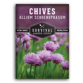 1 Pack Common Chives Seeds for Planting with Instructions to Grow Delicious Perennial Herbs in Your Home Vegetable Garden - Non-GMO Heirloom - Chives Plant Live - Survival Garden Seeds