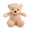 Get Well Teddy Bear with Gray Hoodie 9 Stuffed Animal