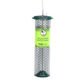 Birds Choice XPN77 Bird Feeder, 1.25 Quarts, Green
