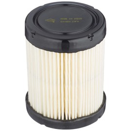 Briggs and Stratton 591583 Air Filter