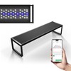MagTool Brite Series Auto Aquarium LED Light with App-Controlled RGB+W