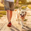Collar para Perro Táctico Resistente y Ajustable con Correa Táctica