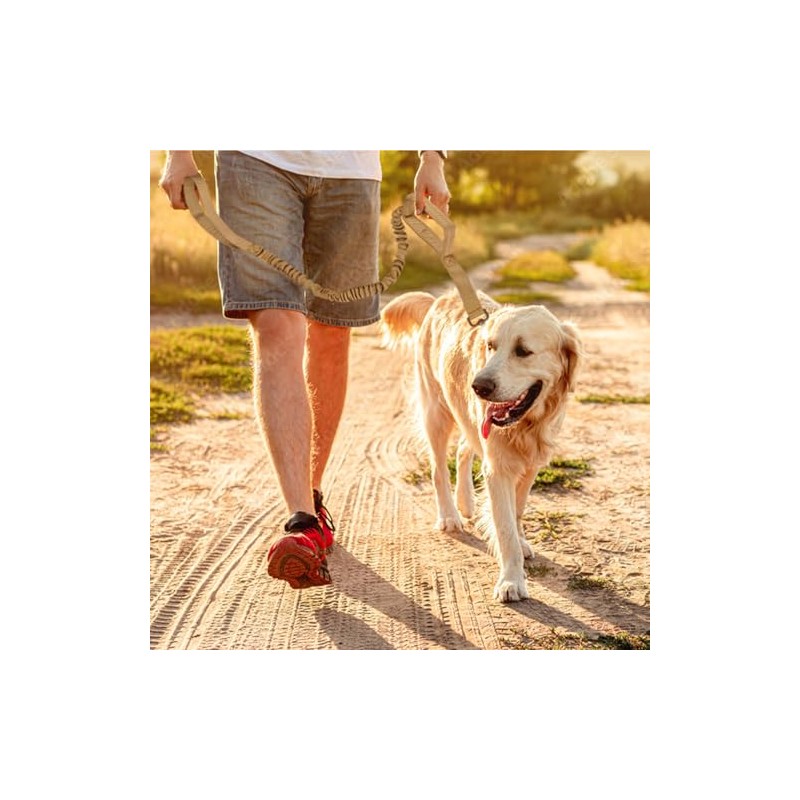 Collar para Perro Táctico Resistente y Ajustable con Correa Táctica