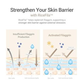 HAYEJIN - RiceFila Facial Oil Toner, Gluten Free Hydrating Toner for Oily Skin w/Rice Bran Extract, Niacinamide & Hypoallergenic Formula,...
