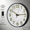 Clockswise 12-in Glow-in-the-Dark Decorative Wall Clock, Non-Ticking Battery Powered -